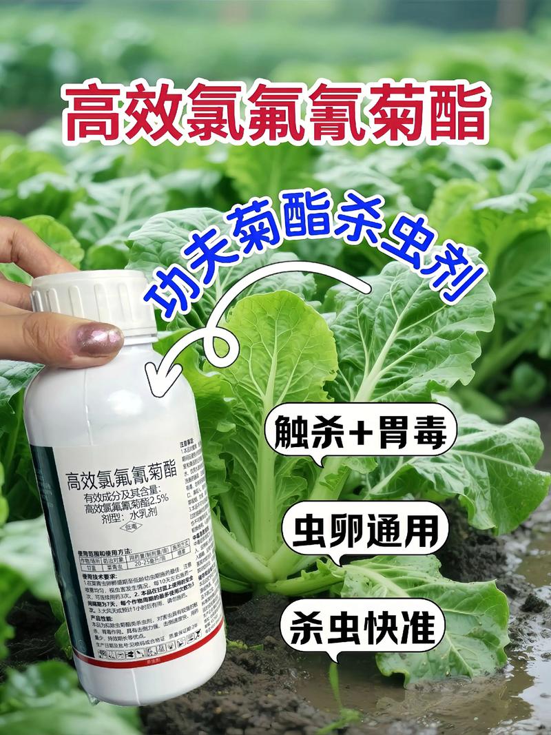 万宁代生中心:农药对供卵代生妈妈的危害